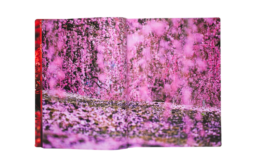 Mika Ninagawa: Eternity in a Moment Vol. 2