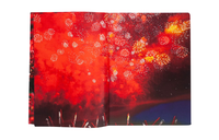 Mika Ninagawa: Eternity in a Moment Vol. 2