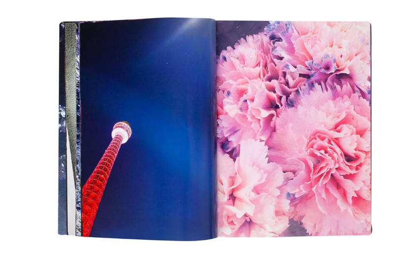 Mika Ninagawa: Eternity in a Moment Vol. 3