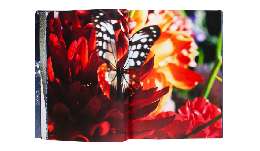 Mika Ninagawa: Eternity in a Moment Vol. 3