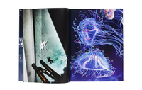Mika Ninagawa: Eternity in a Moment Vol. 3