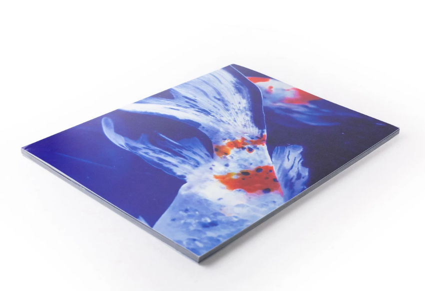 Mika Ninagawa: Eternity in a Moment Vol. 3