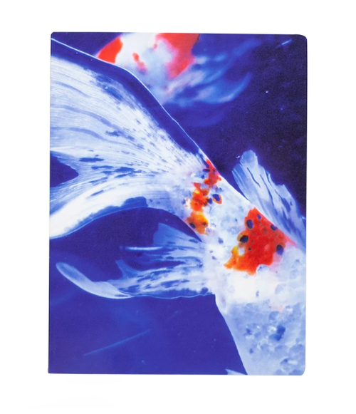 Mika Ninagawa: Eternity in a Moment Vol. 3