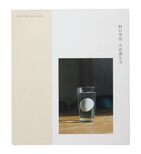 Noguchi Rika: Small Miracles
