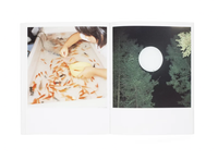 Rinko Kawauchi: Utatane