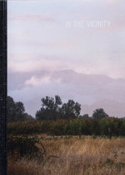 Ed Panar - In The Vicinity
