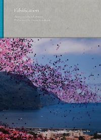 Seba Kurtis/Hiromi Kawakami: Falsification