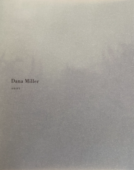 Dana Miller - Drift