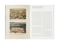 Andrea Orejarena & Caleb Stein: Long Time No See