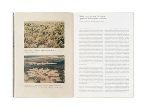 Andrea Orejarena & Caleb Stein: Long Time No See
