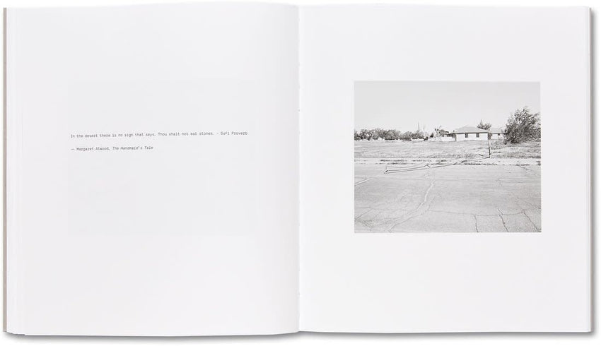 Susan Lipper: Domesticated Land (Signed)