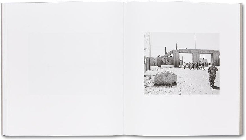 Susan Lipper: Domesticated Land (Signed)