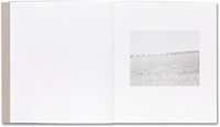 Susan Lipper: Domesticated Land (Signed)