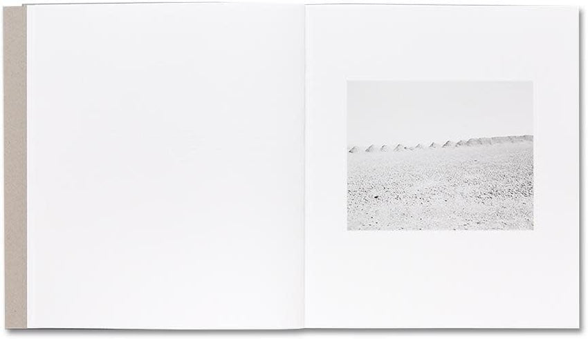 Susan Lipper: Domesticated Land (Signed)