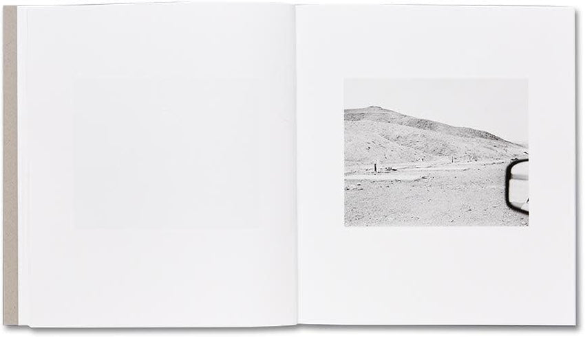 Susan Lipper: Domesticated Land (Signed)