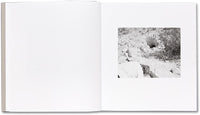 Susan Lipper: Domesticated Land (Signed)
