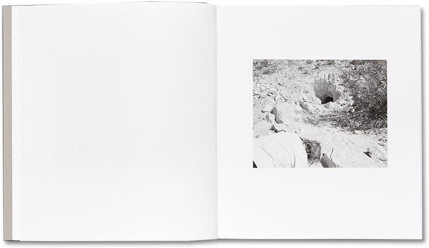 Susan Lipper: Domesticated Land (Signed)