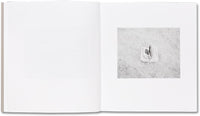 Susan Lipper: Domesticated Land (Signed)