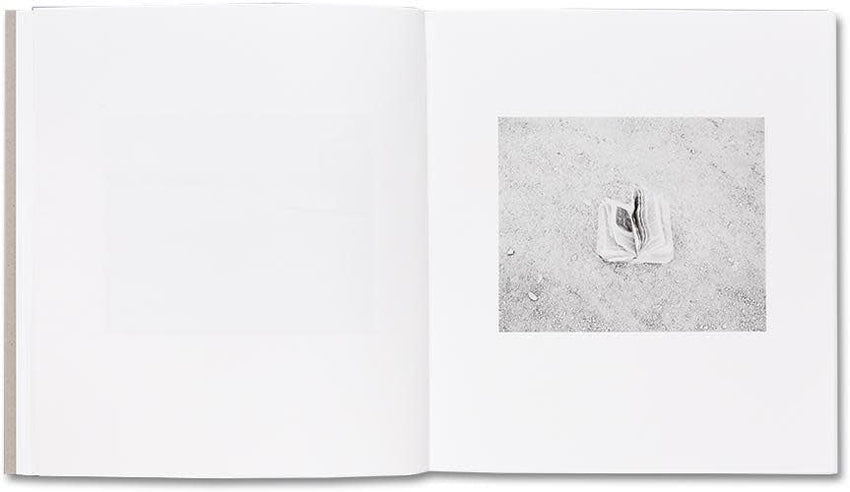 Susan Lipper: Domesticated Land (Signed)