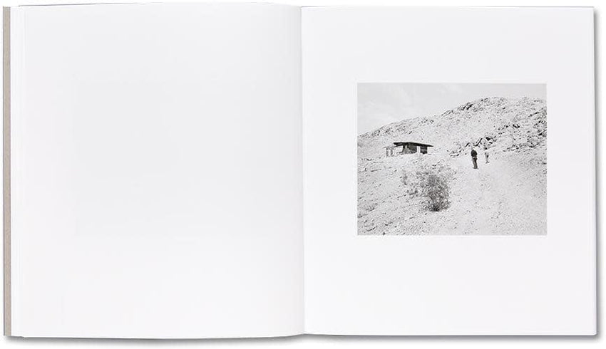 Susan Lipper: Domesticated Land (Signed)