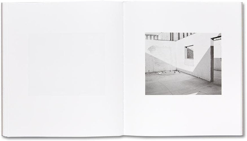 Susan Lipper: Domesticated Land (Signed)