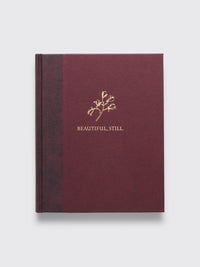 Colby Deal: Beautiful, Still