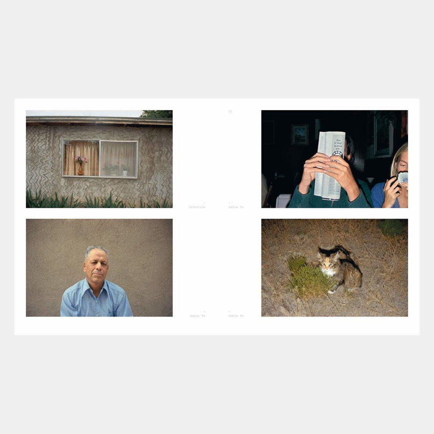Stephen Shore: American Surfaces