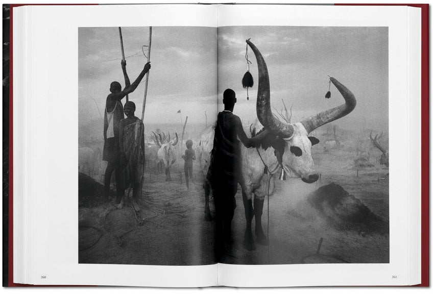 Sebastião Salgado: Genesis
