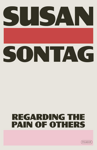 Susan Sontag: Regarding the Pain of Others