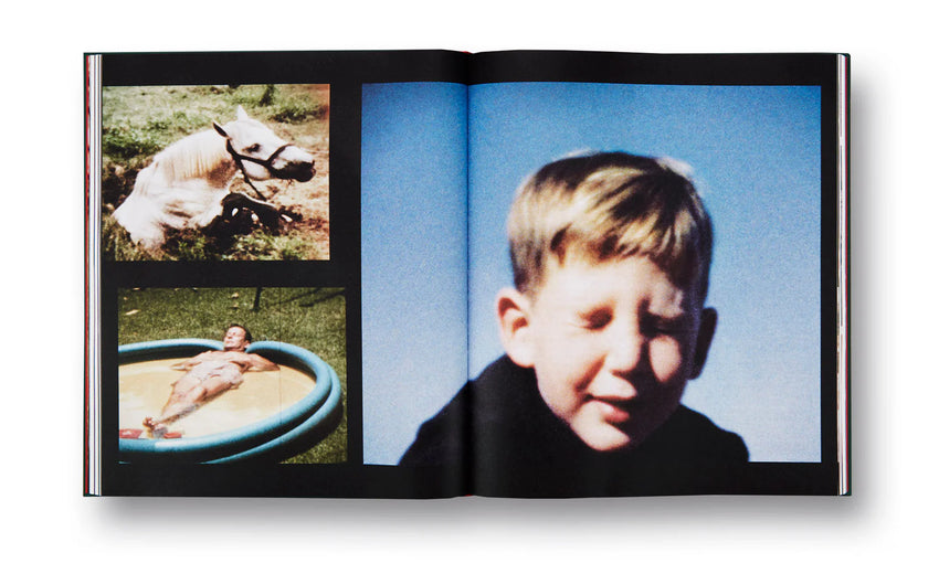 Larry Sultan: Pictures From Home