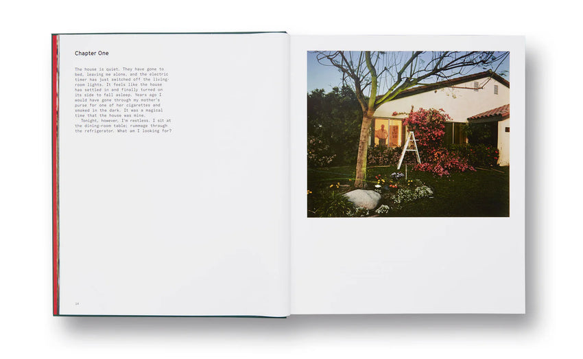 Larry Sultan: Pictures From Home