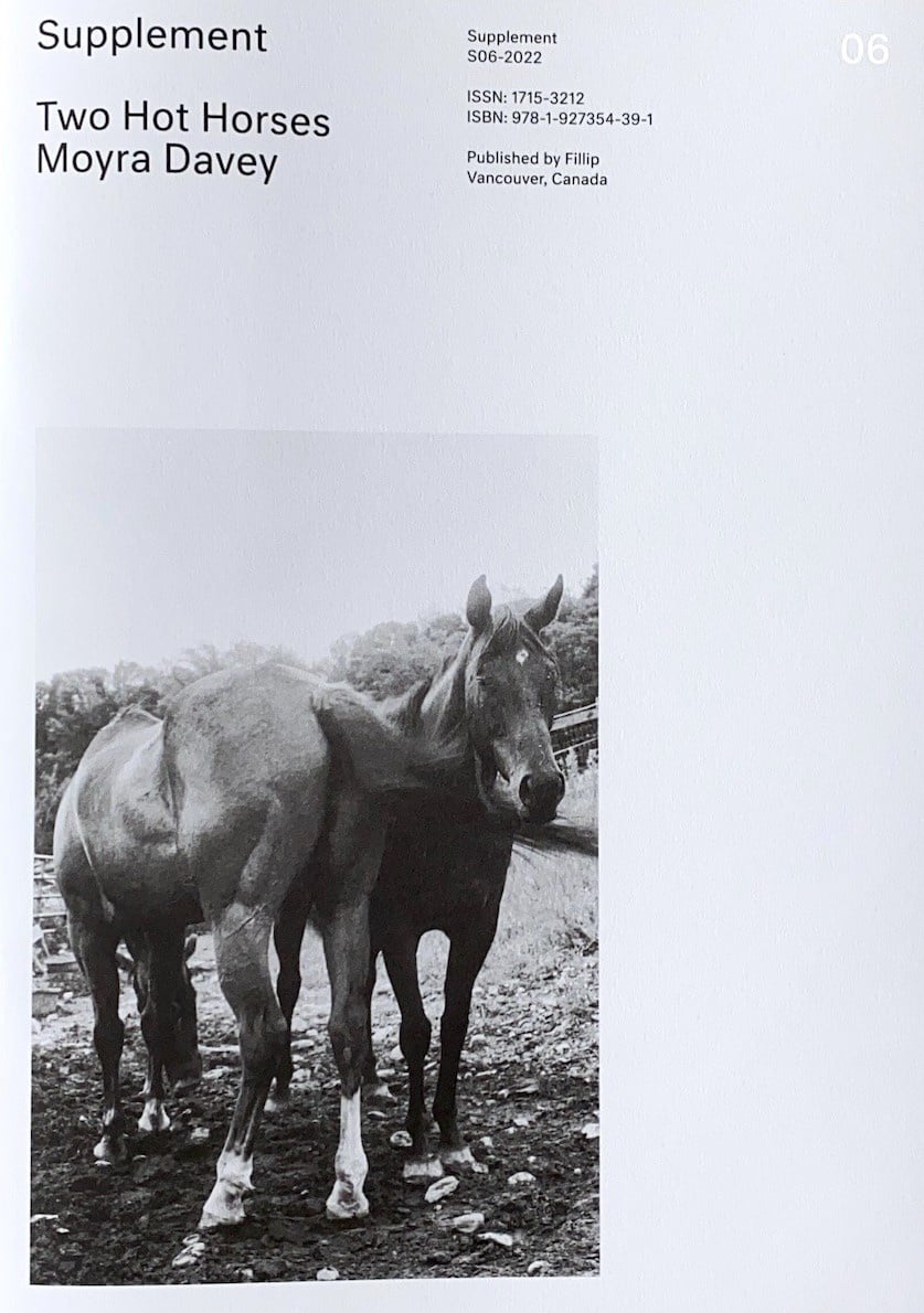 Moyra Davey: Two Hot Horses (Supplement S06-2022)