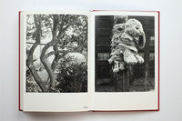 Stanley Wolukau-Wanambwa: One Wall a Web