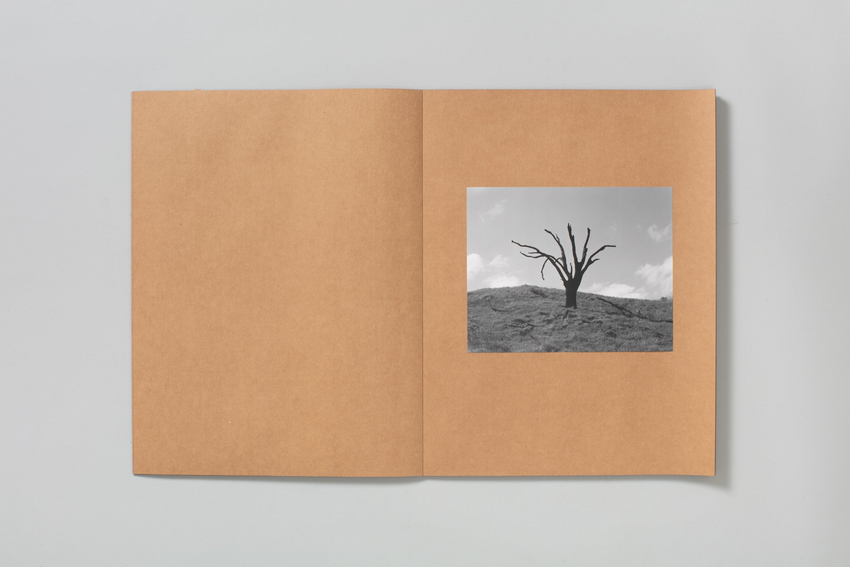 Mark Armijo McKnight: Posthume