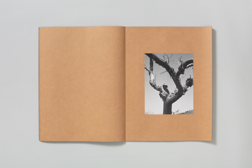 Mark Armijo McKnight: Posthume