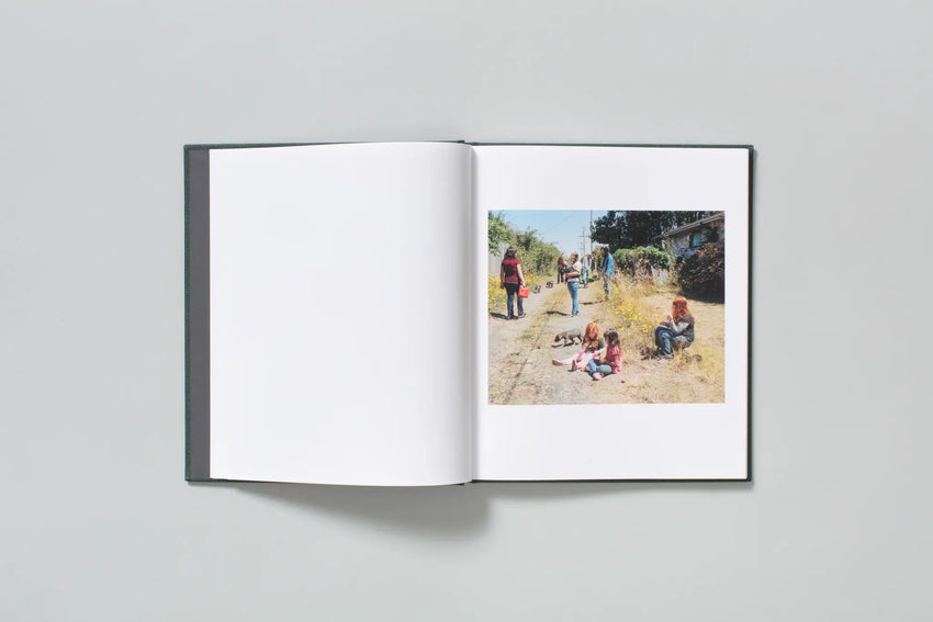 Curran Hatleberg: Lost Coast (Second Edition)