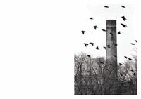 Todd R. Darling: American Idyll