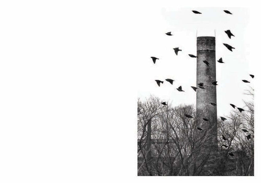 Todd R. Darling: American Idyll