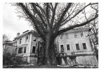 Todd R. Darling: American Idyll