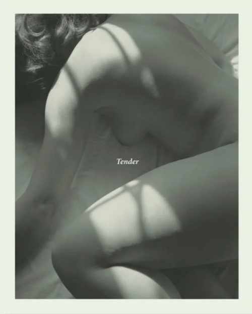 Carla Williams: Tender