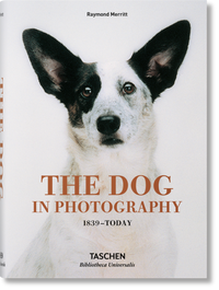 The Dog in Photography 1839 - Today by Raymond Merritt