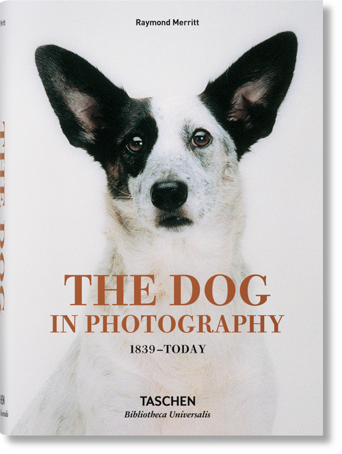 The Dog in Photography 1839 - Today by Raymond Merritt