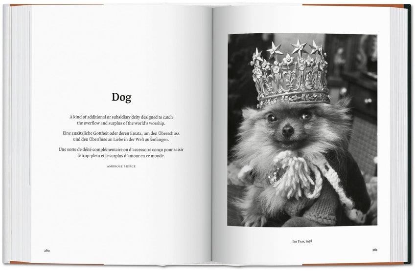The Dog in Photography 1839 - Today by Raymond Merritt