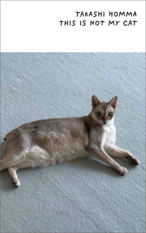 Takashi Homma: This Is Not My Cat