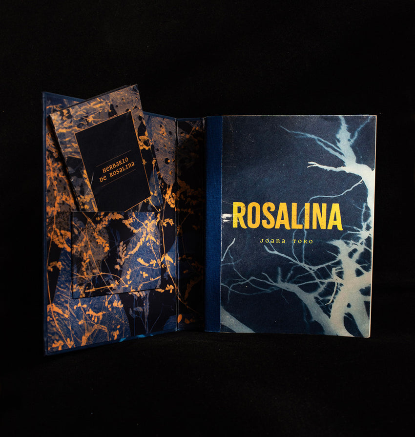 Joana Toro: Rosalina