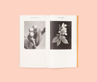 Magali Duzant: A Tree Grows in Queens