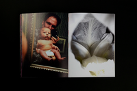 Jeff Mermelstein: What if Jeff were a Butterfly?