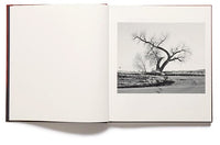 Vanessa Winship: she dances on Jackson