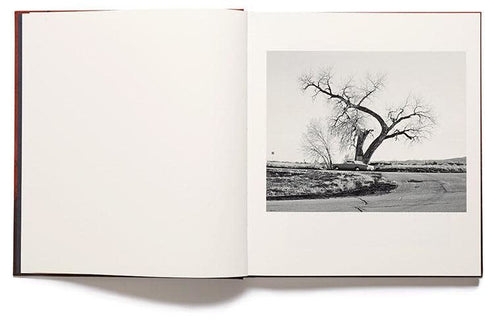 Vanessa Winship: she dances on Jackson