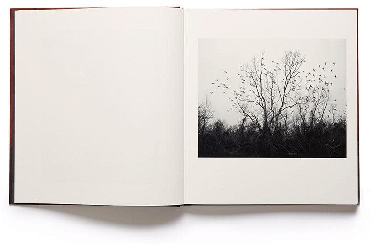 Vanessa Winship: she dances on Jackson